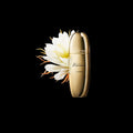 Le Sérum Clarins Precious