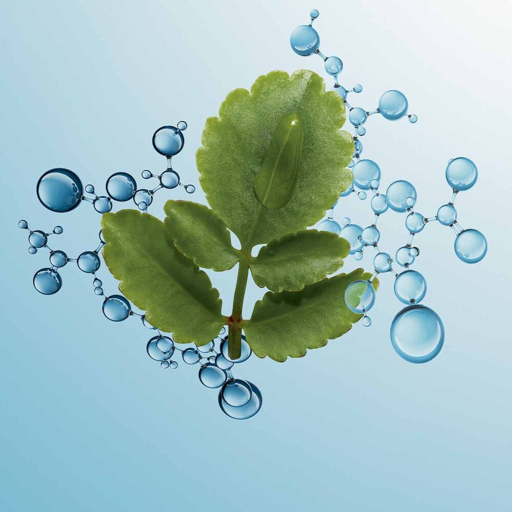 Hydra-Essentiel [HA²] Émulsion visage désaltérante - Toutes peaux