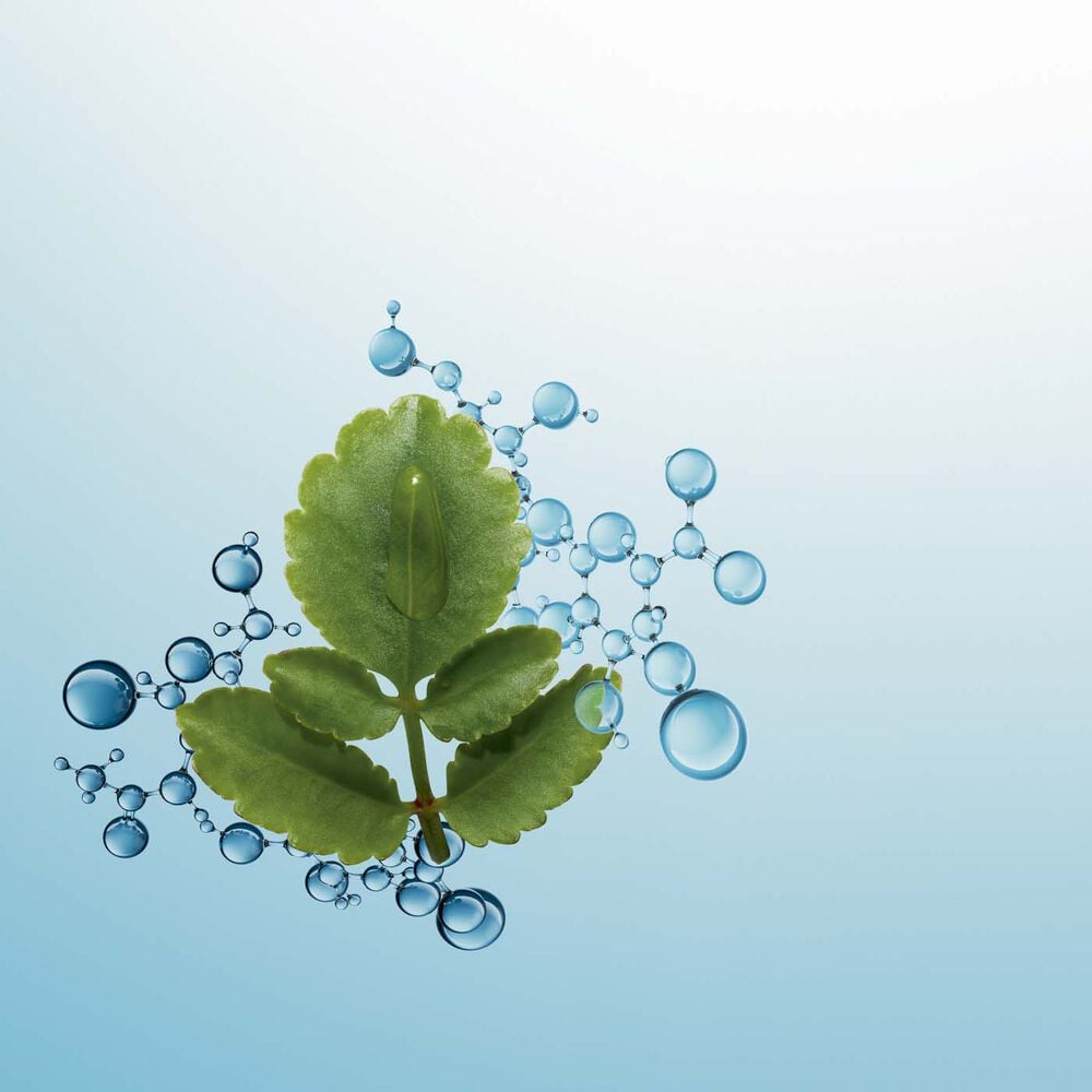 Crème de Nuit Hydratante formulée à l'Acide Hyaluronique - Hydra-Essentiel