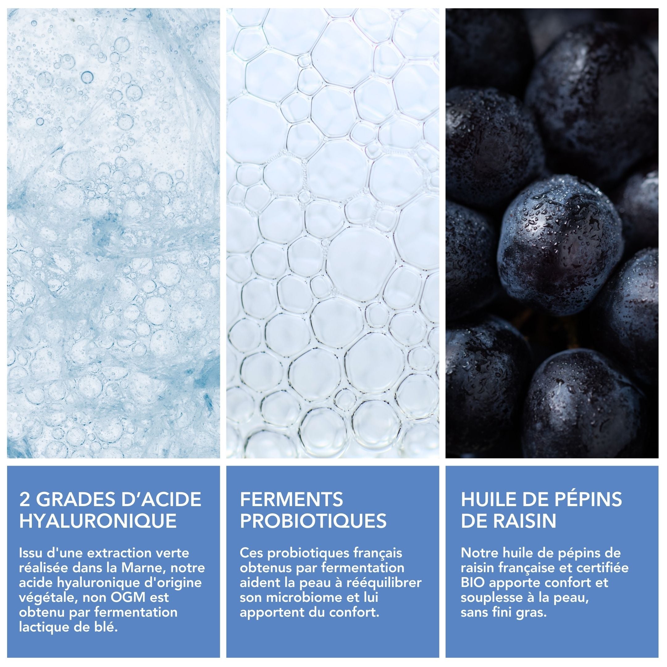 Crème Hydratation aux Probiotiques